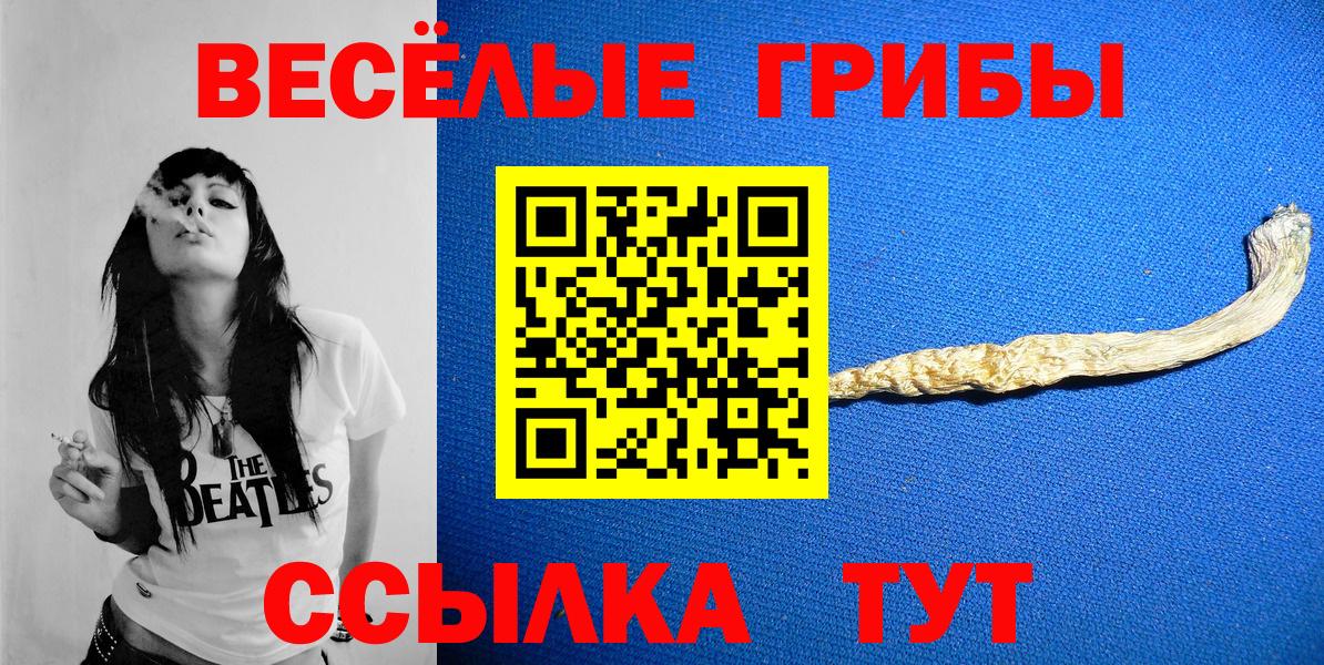 Псилоцибиновые грибы ЛСД Кольчугино
