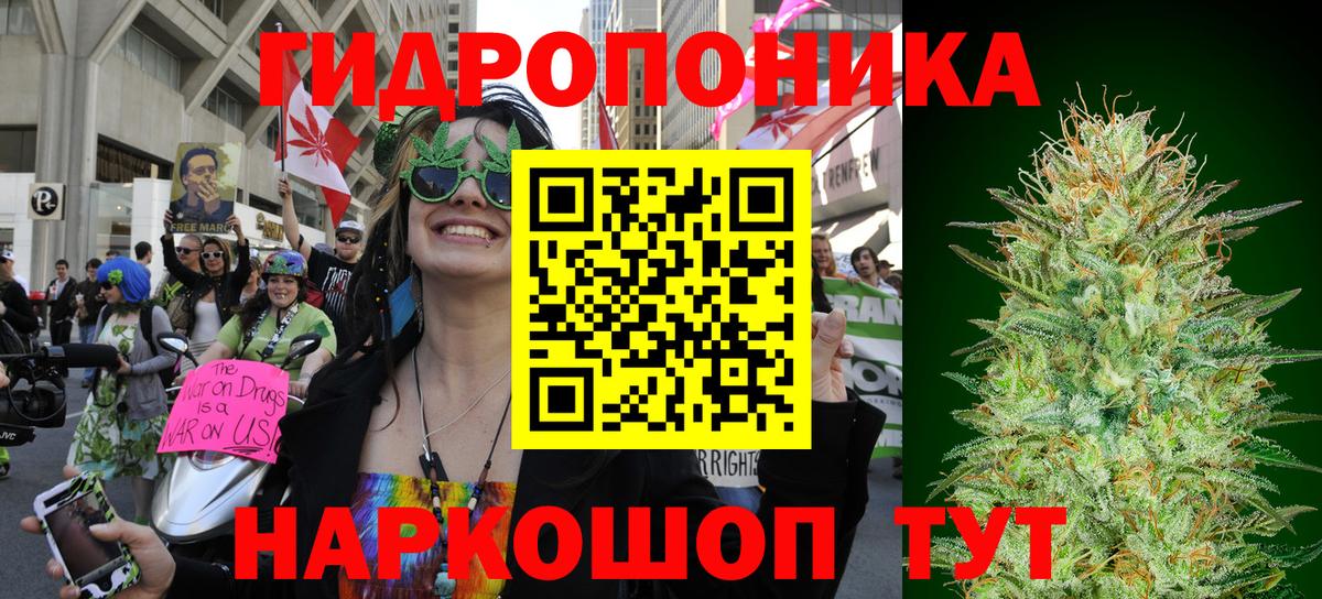 Шишки марихуана VHQ Кольчугино